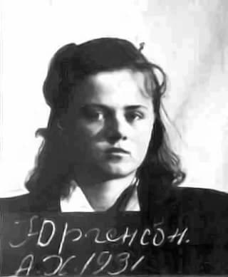Aili Jogi