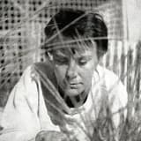Harper Lee
