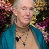 Jane Goodall