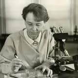 Barbara McClintock