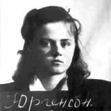 Aili Jogi
