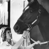 Diane Crump