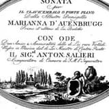 Marianna Auenbrugger