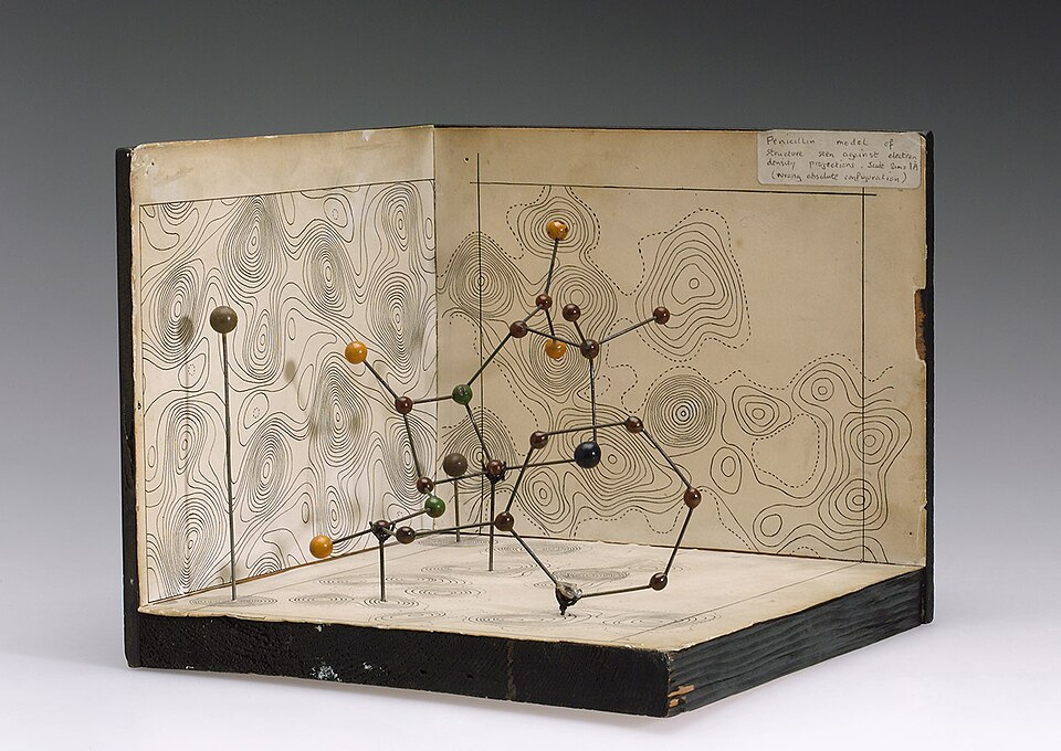 Molecular model of Penicillin by Dorothy Hodgkin (9663803982)