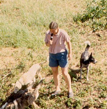 Susan Butcher 1997
