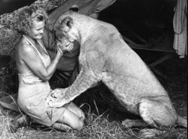 Joy Adamson with Elsa the lion, circa 1956