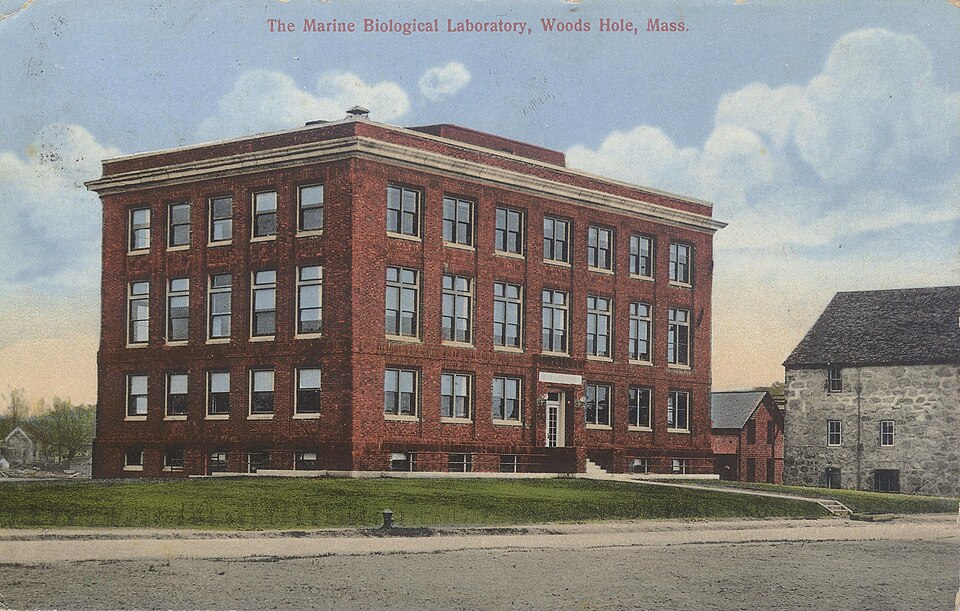 MBL Crane building postcard ca. 1920