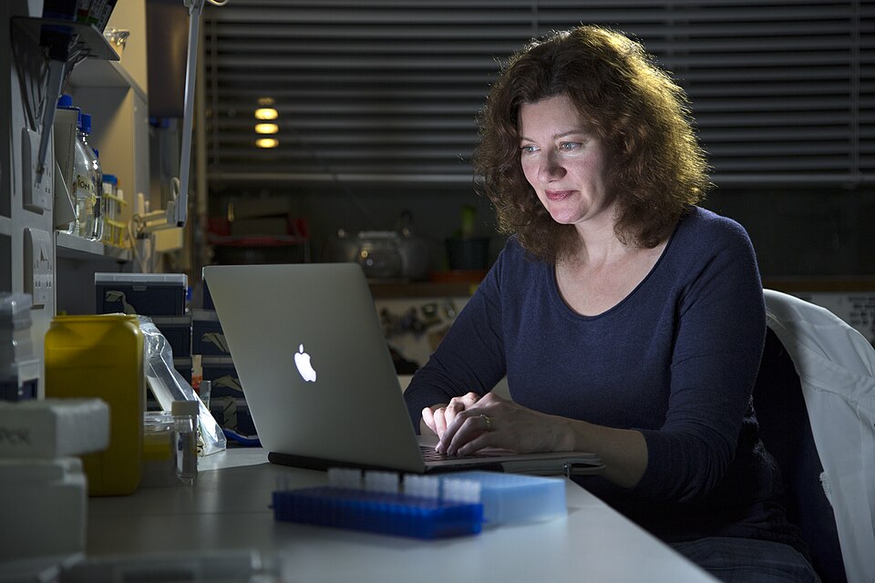 Turi King working in lab